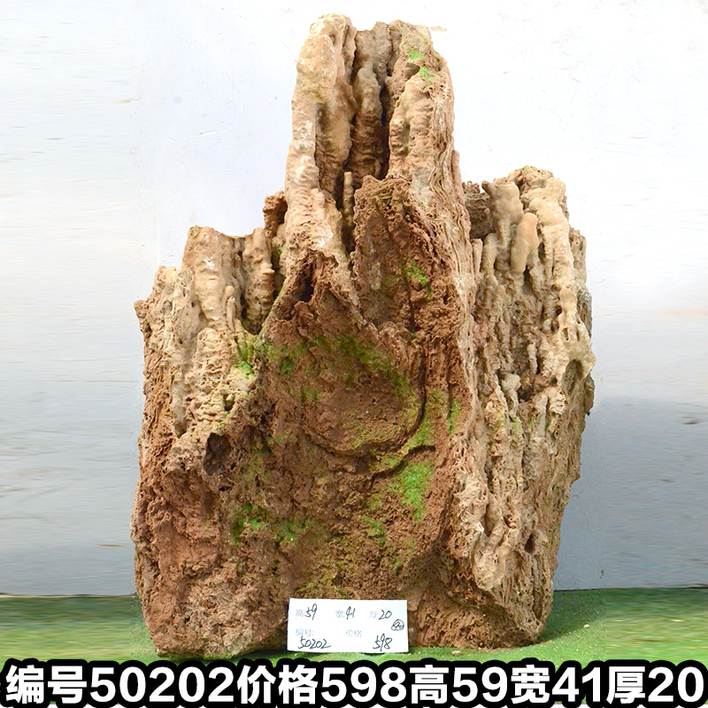 A50202
