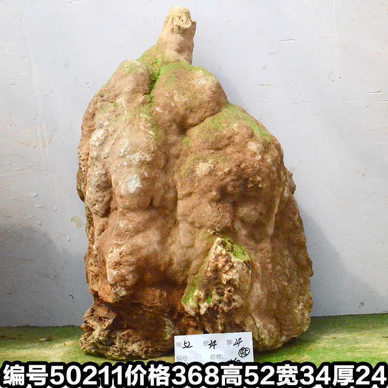 C50211