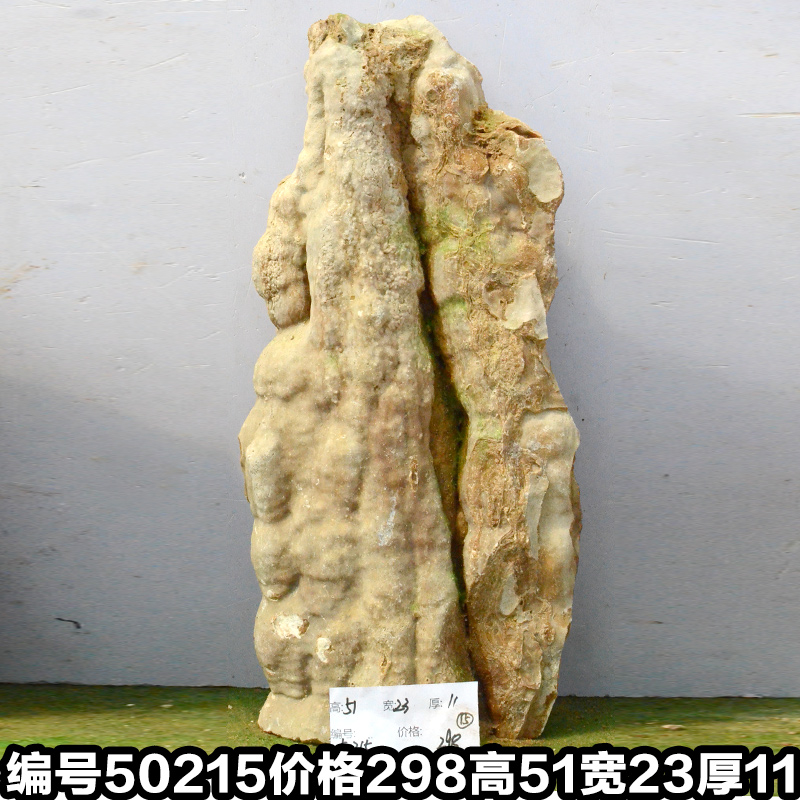 C50215