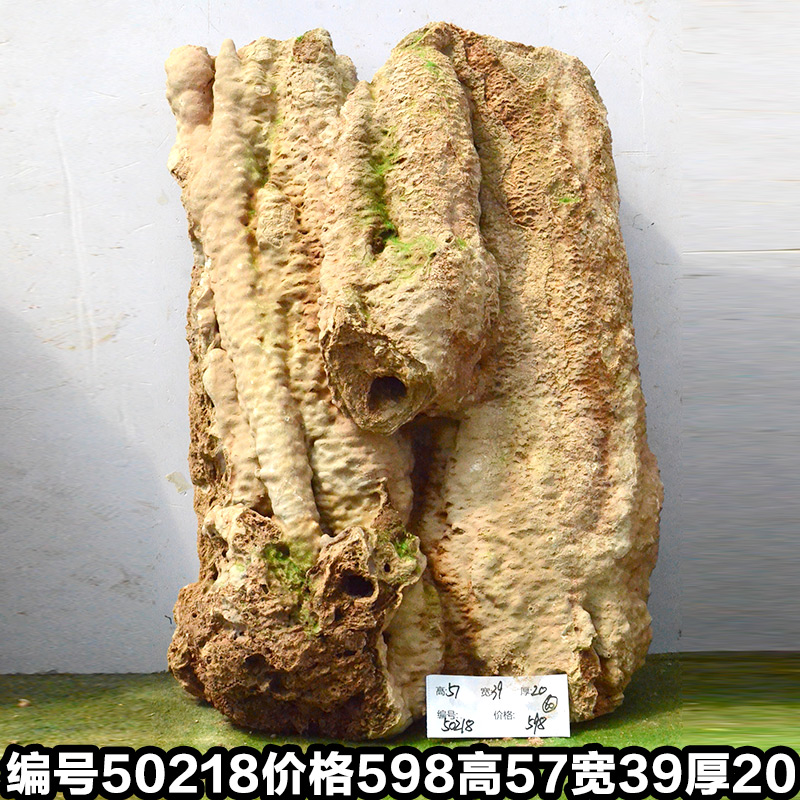 C50218