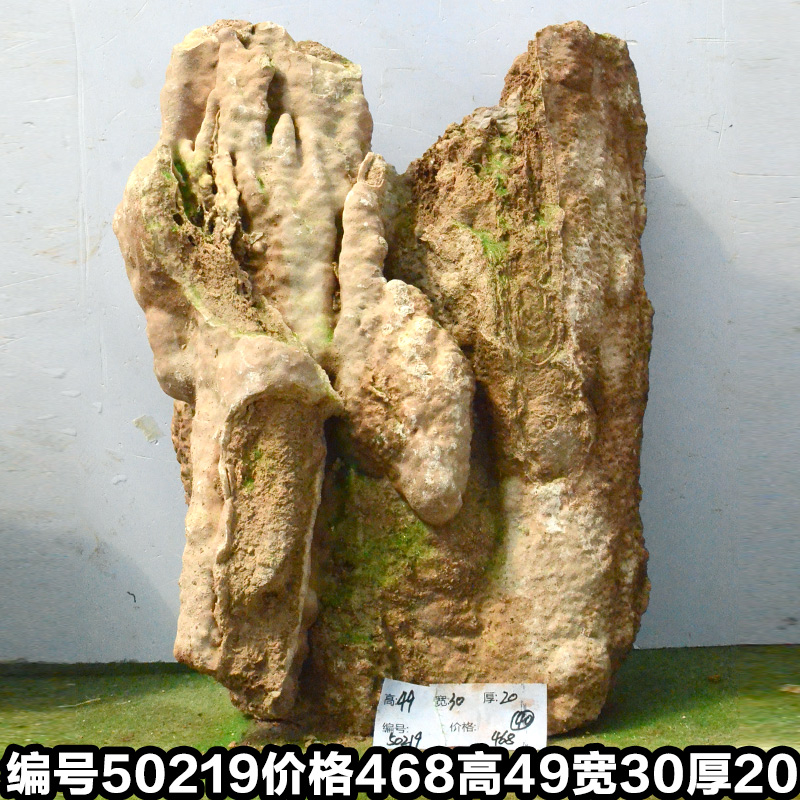 C50219