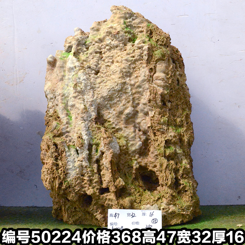 C50224
