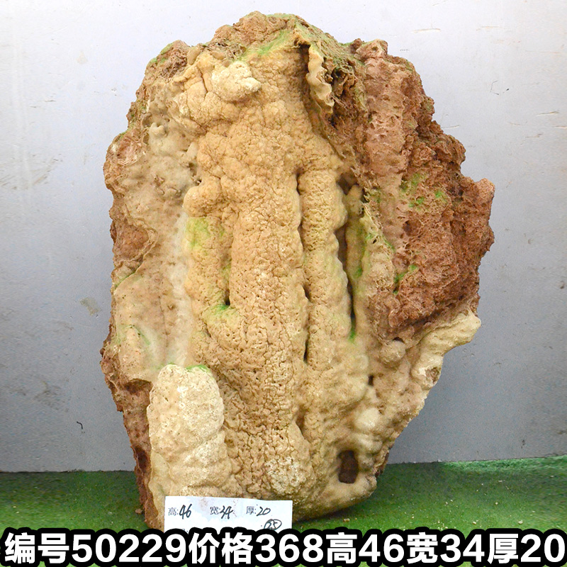 C50229