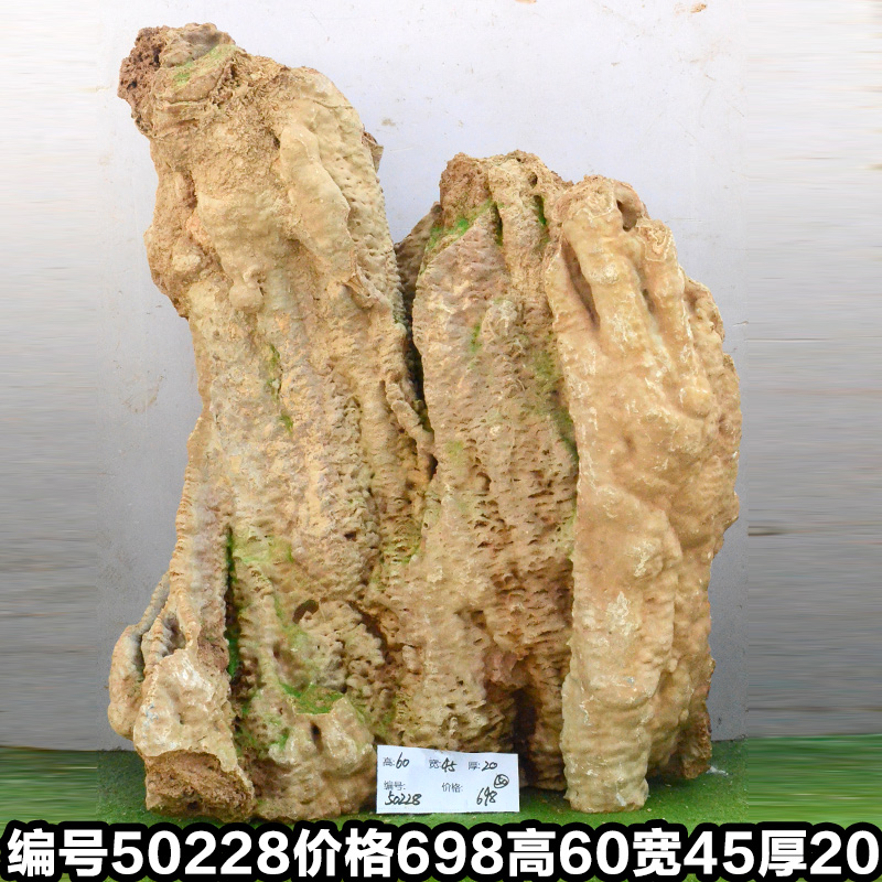C50228