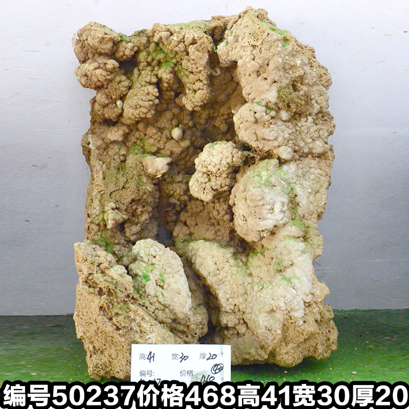 Y50237