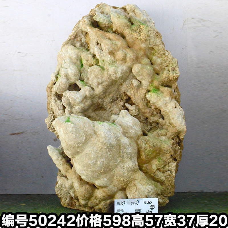 Y50242