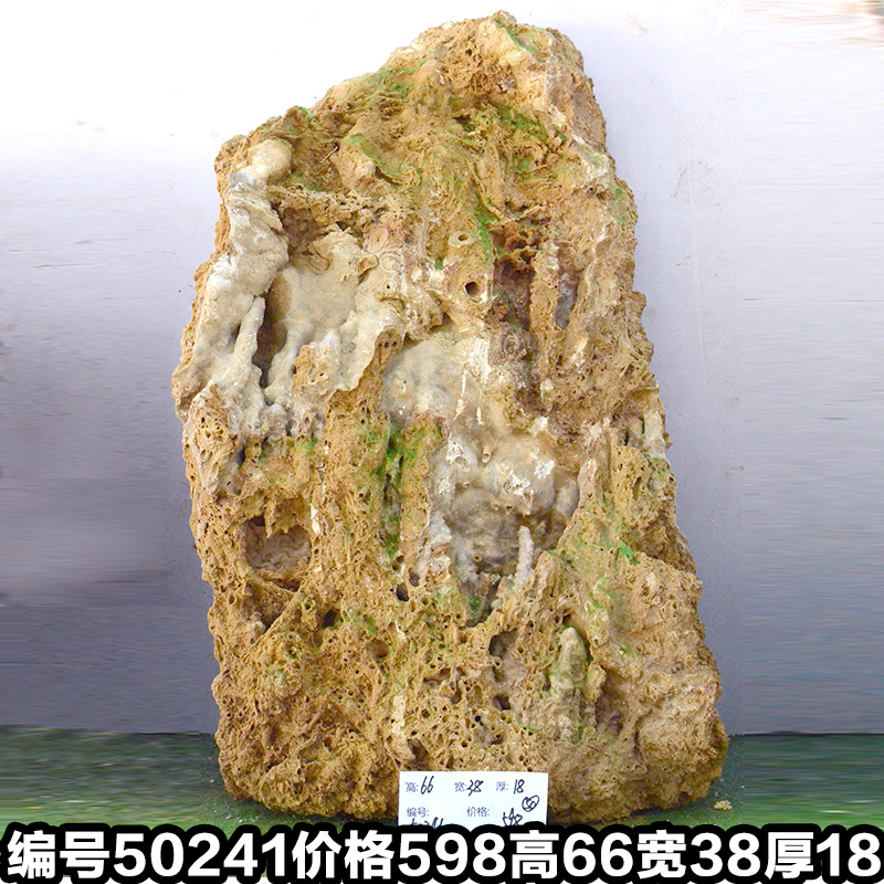 Y50241
