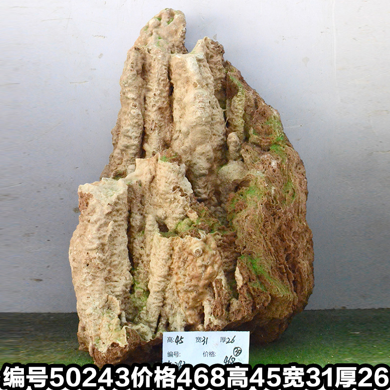 Y50243