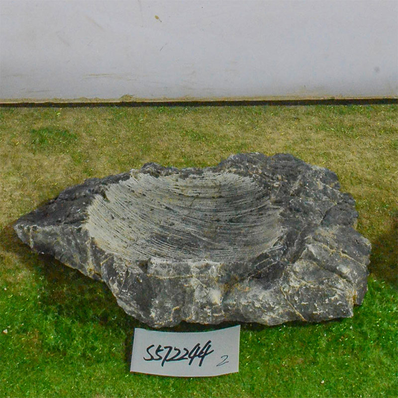 s572244