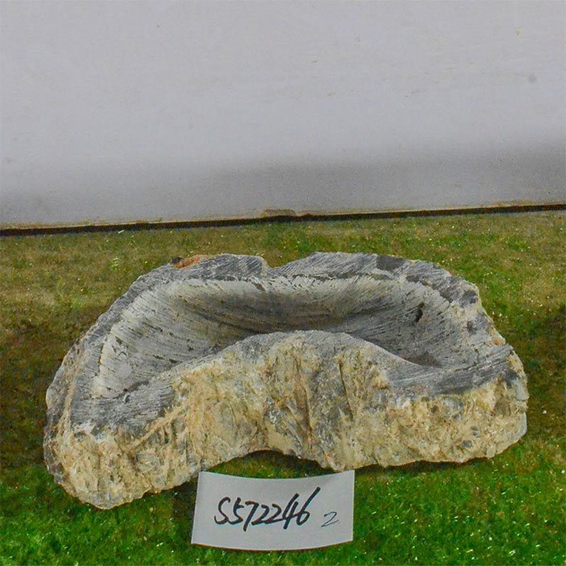 s572246