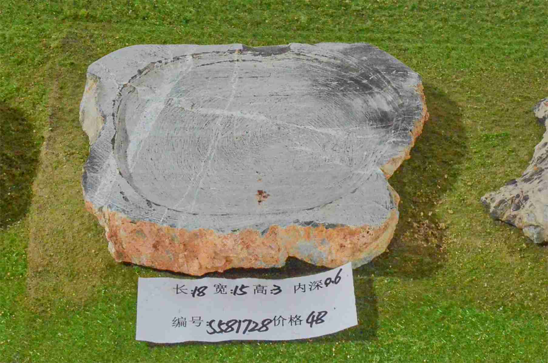 s581728