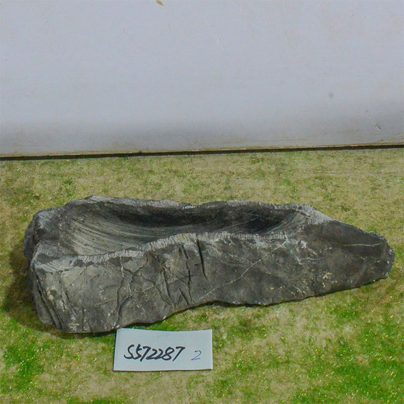 s572287