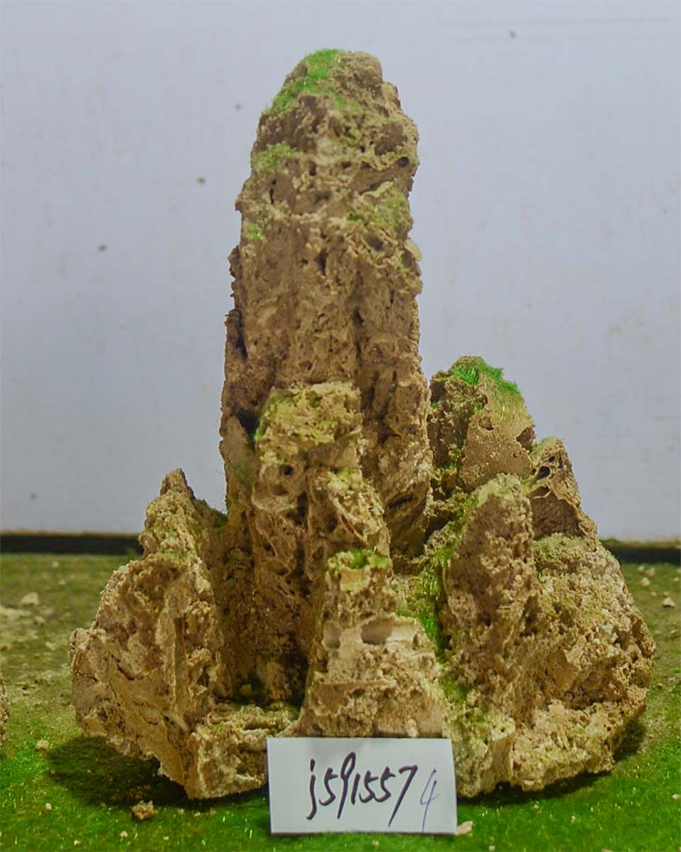 j591557